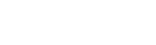 Diamond Ingénieries – logo blanc
